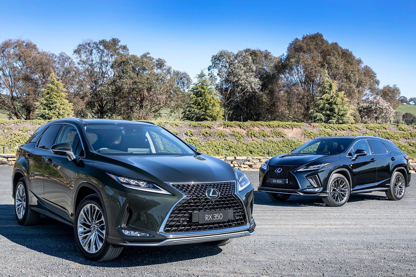Lexus RX range