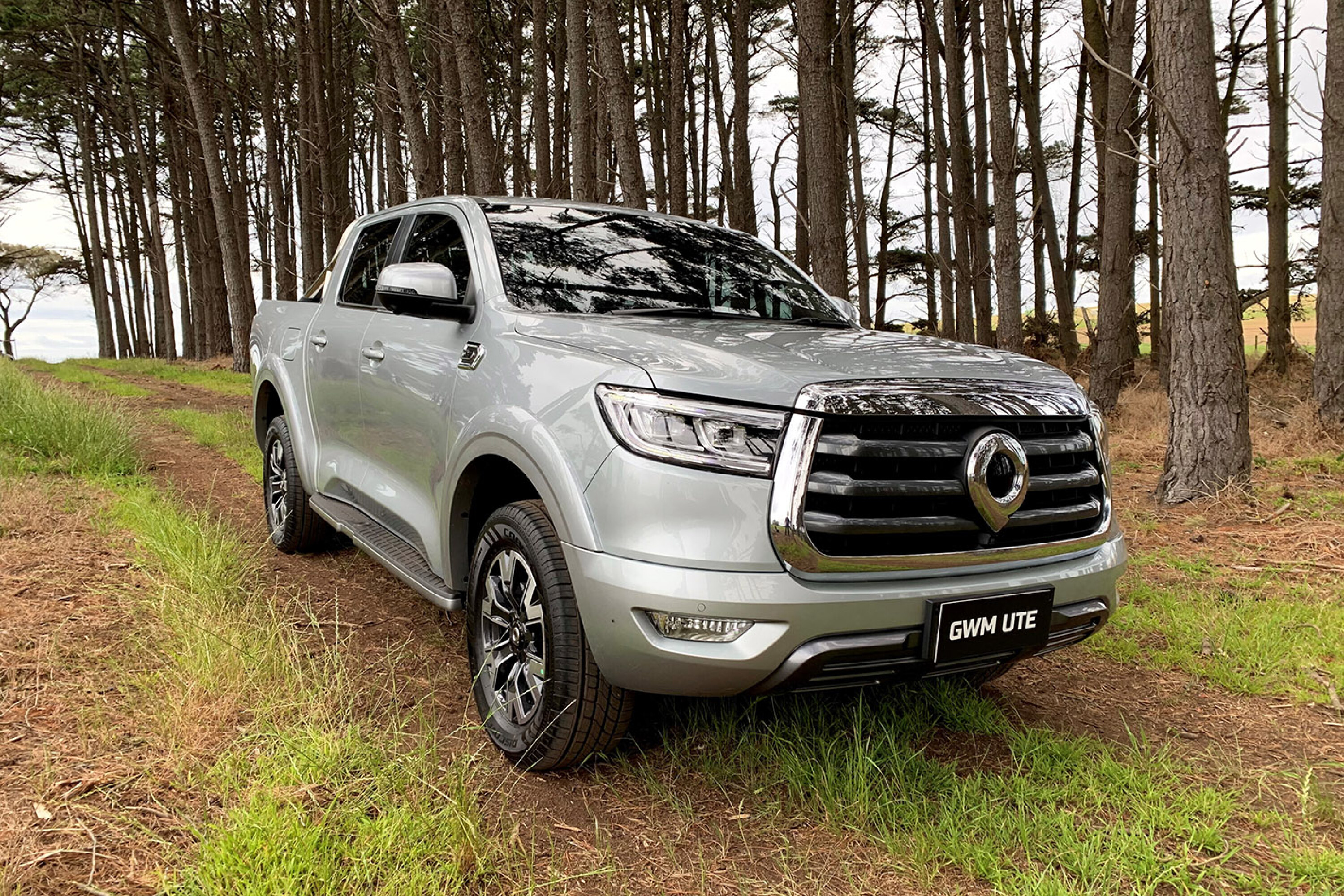 GWM Ute Cannon