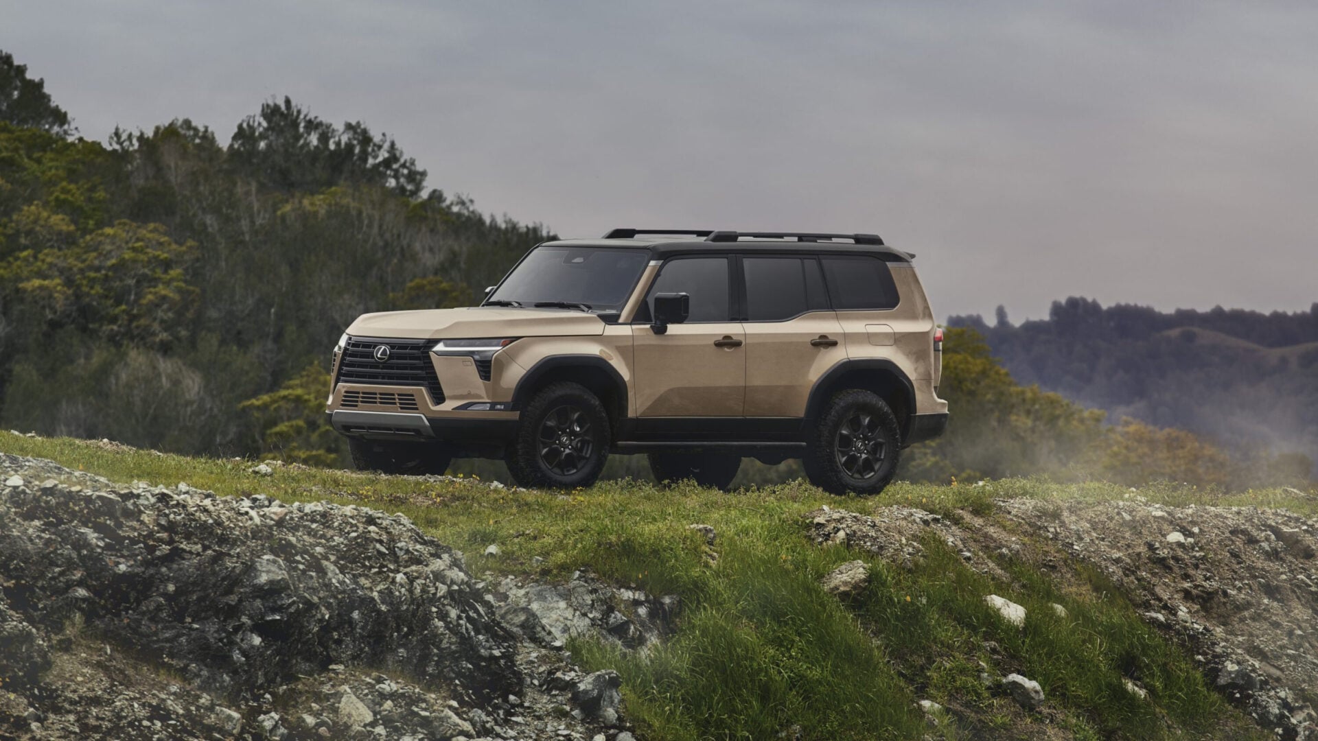 Lexus GX | Price, Reviews & Specifications