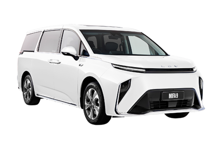 LDV MIFA 9