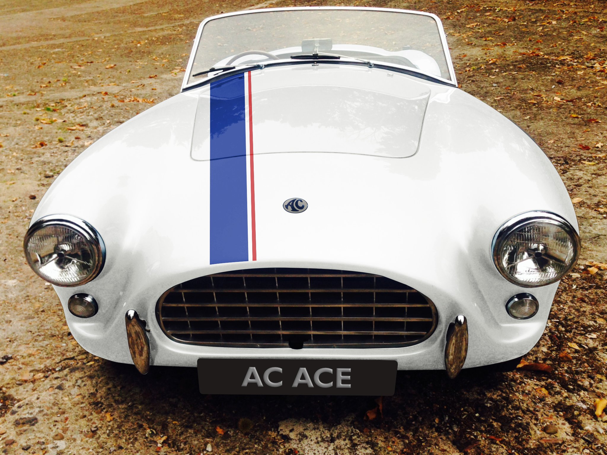 AC Ace RS EV