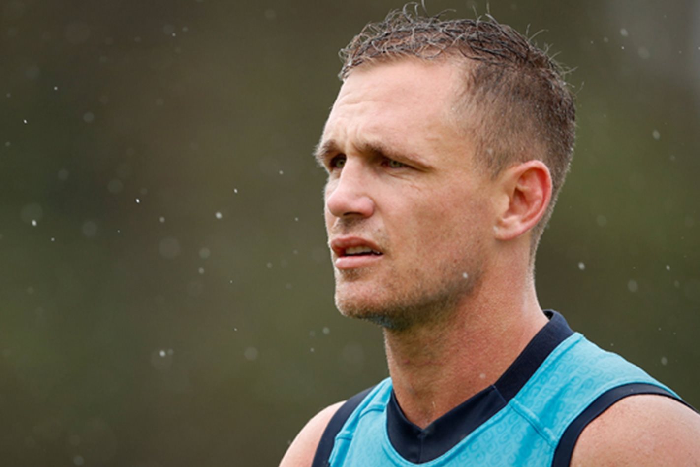 Joel Selwood main