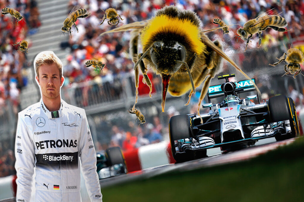 Sunday Roast Corby F1