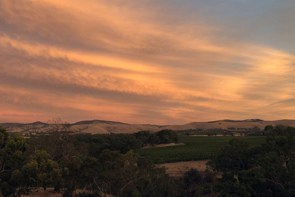 Barossa Valley in the Range Rover Sport Si4 SE Hybrid