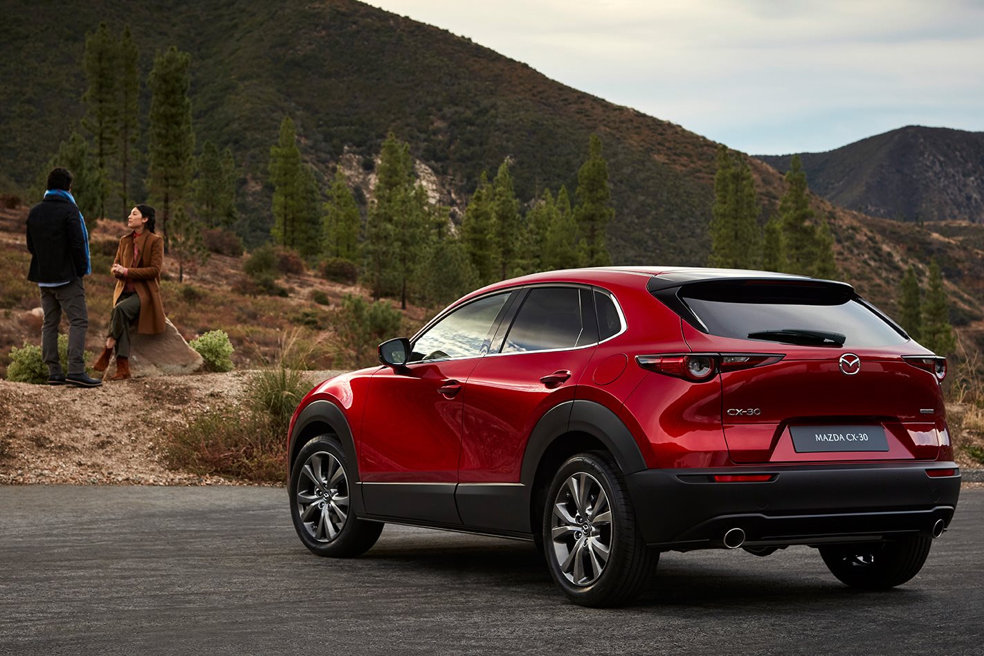 mazda cx-30 rear