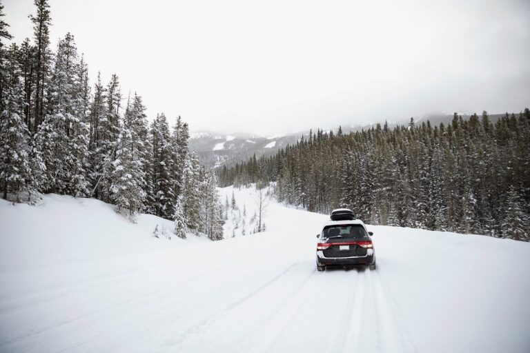 Winter car essentials