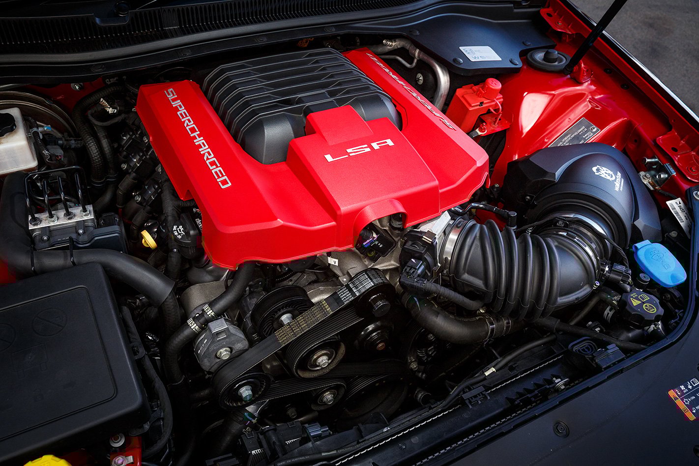 2017 Walkinshaw W557 engine.jpg