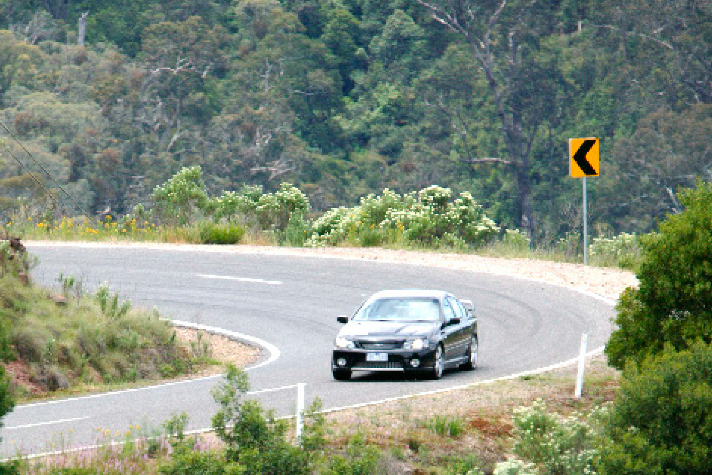FPV-Falcon-GT-P-driving.jpg