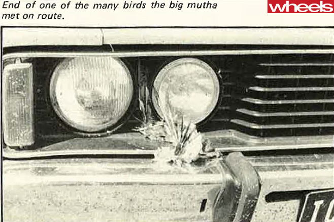 1977-Ford -Falcon -headlights
