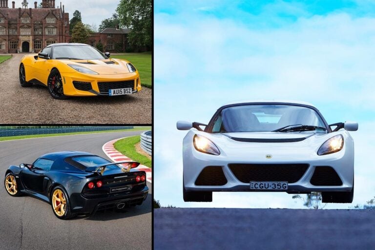 Lotus mixed grid 1