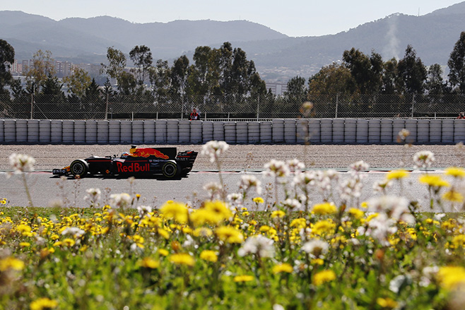 Daniel Ricciardo F1 driver