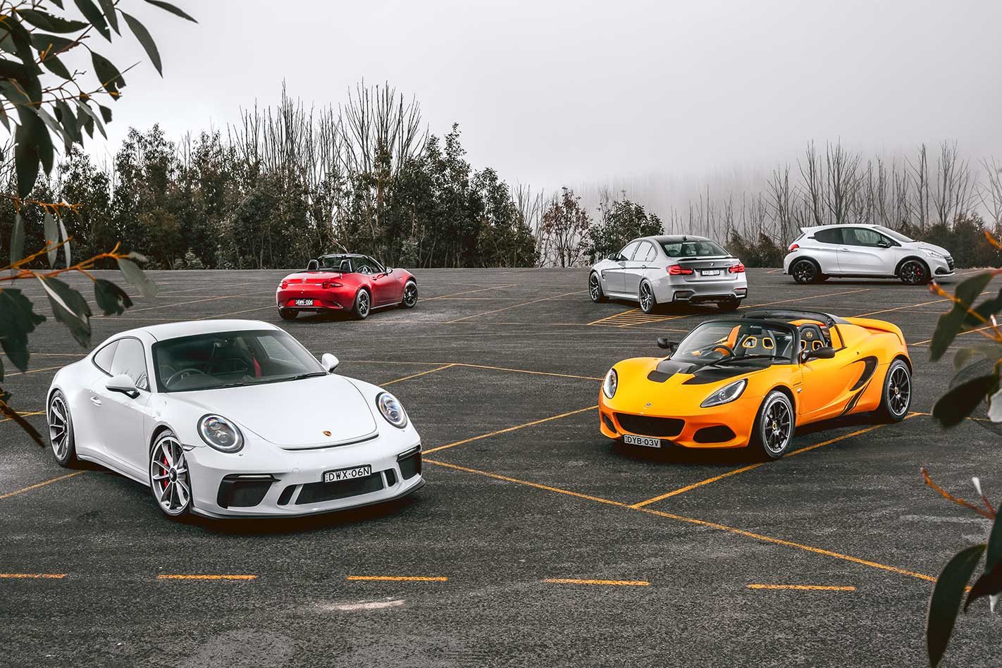 Celebrating Drivers Cars Introduction