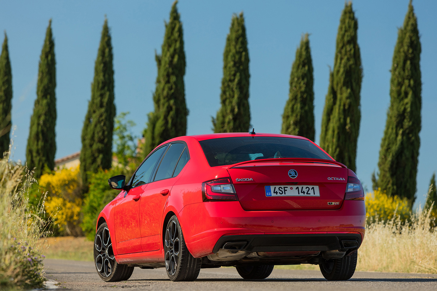 2018 Skoda Octavia RS245 rear on .jpg