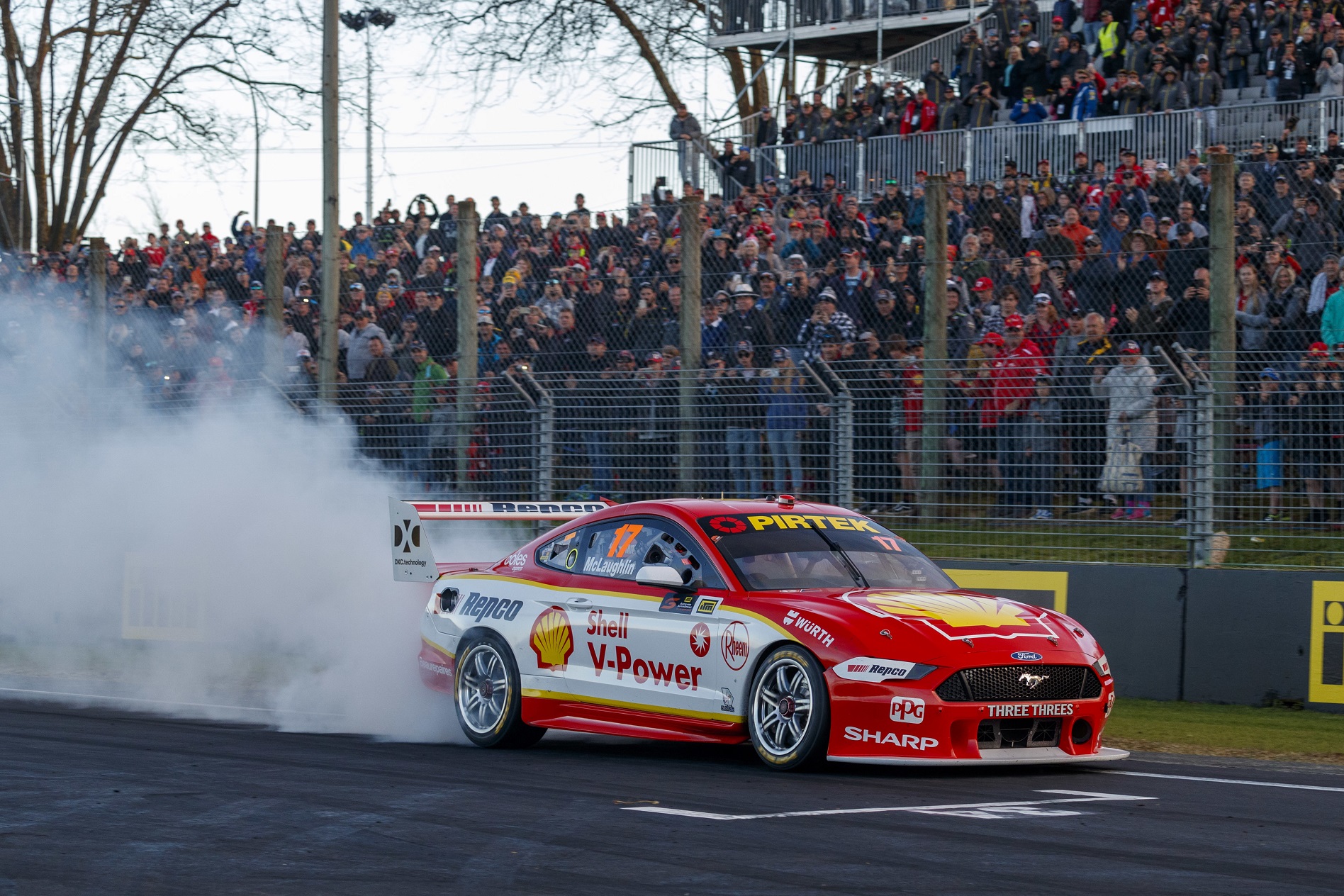 Supercars New Zeland Scott McLaughlin