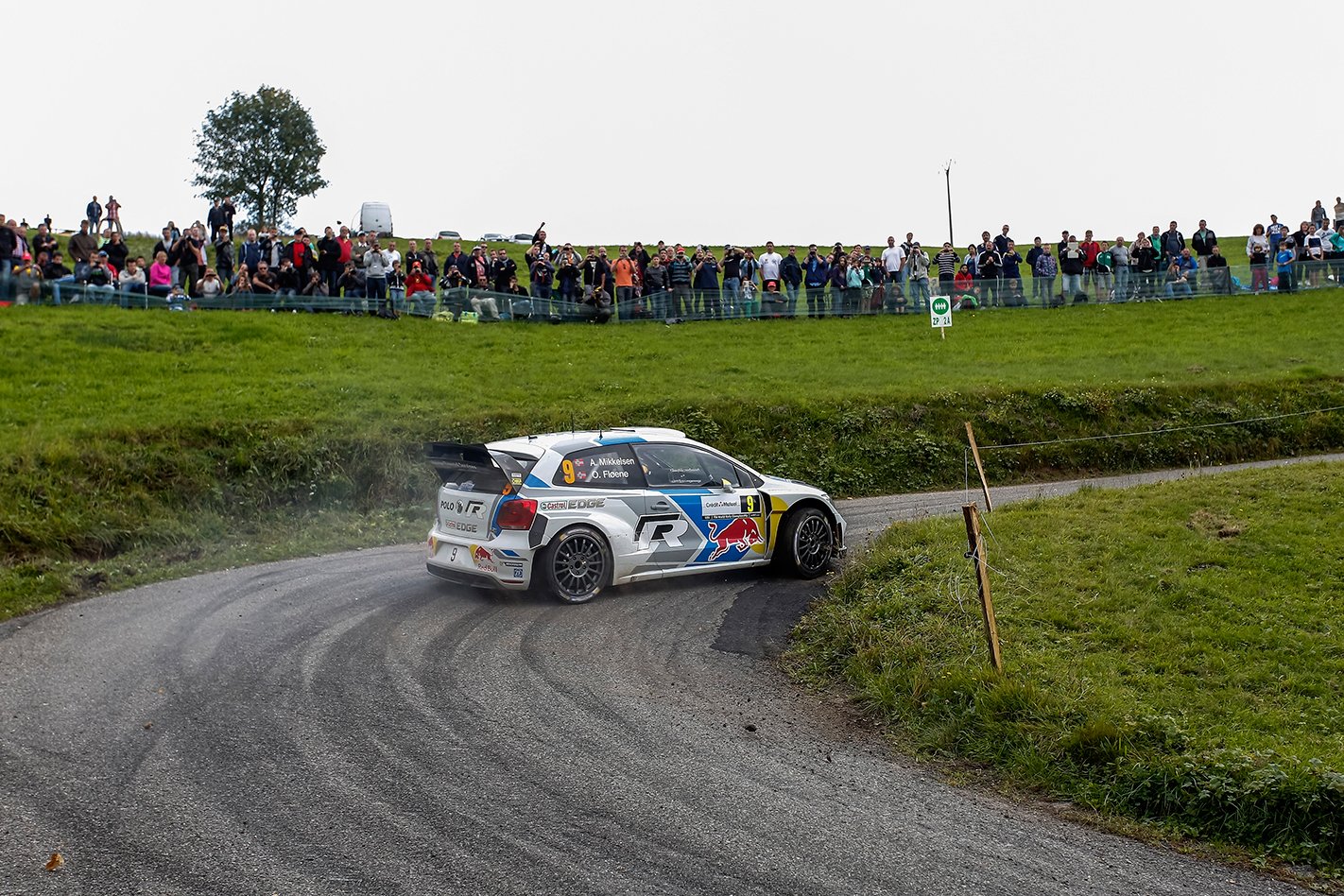 Rally of France
