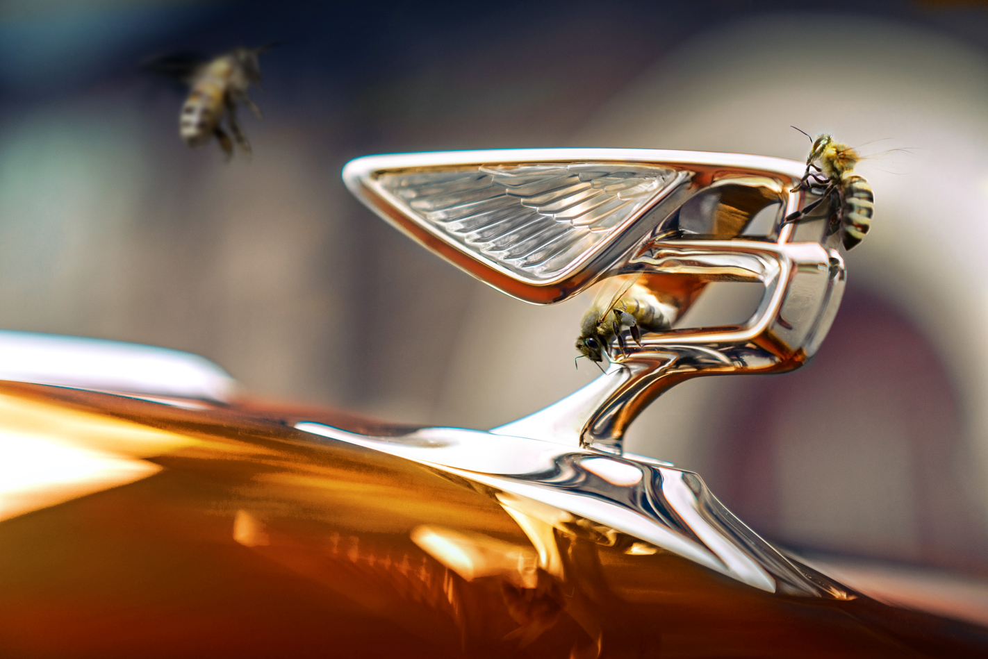 bentley ev future