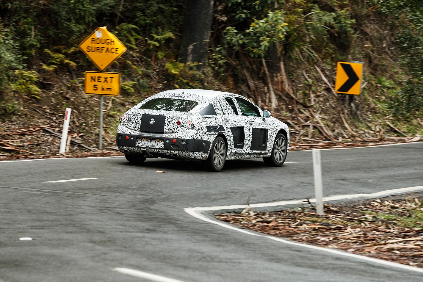 2018-ZB-Commodore-rear.jpg