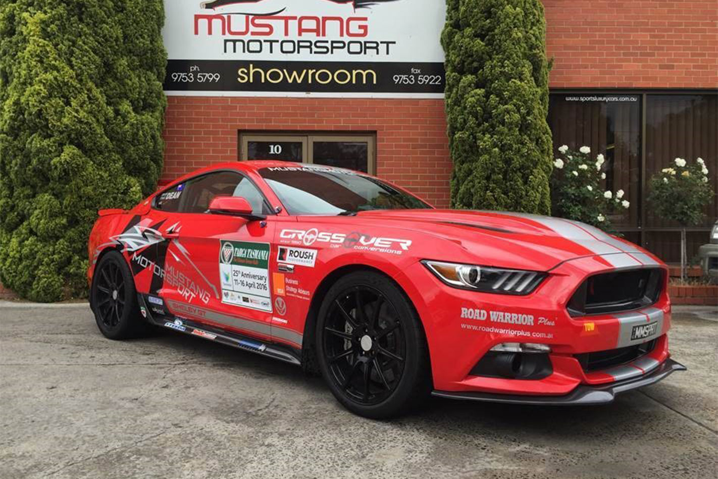 Shelby -Mustang -Craig -Dean