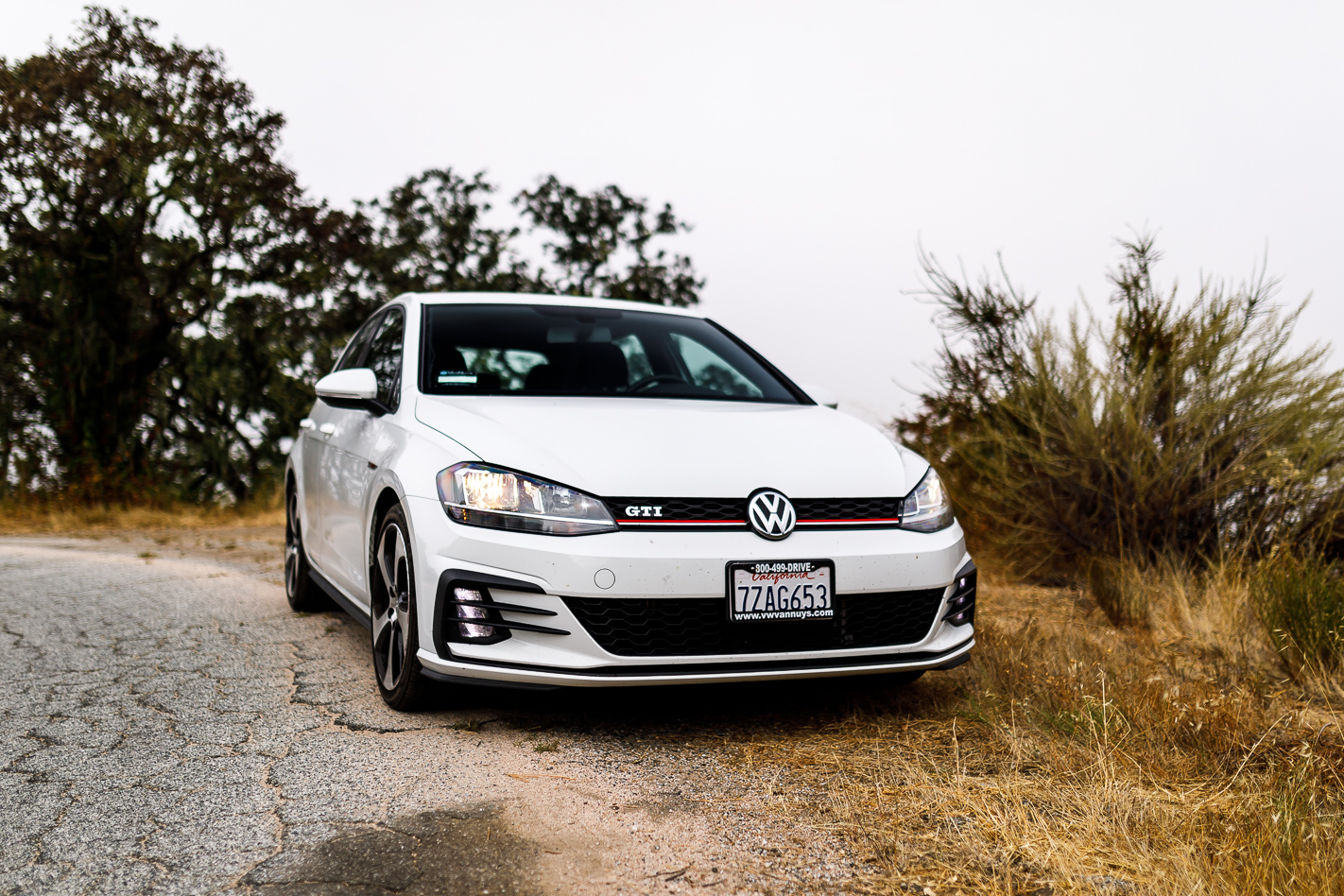 volkswagen golf GTI 2019