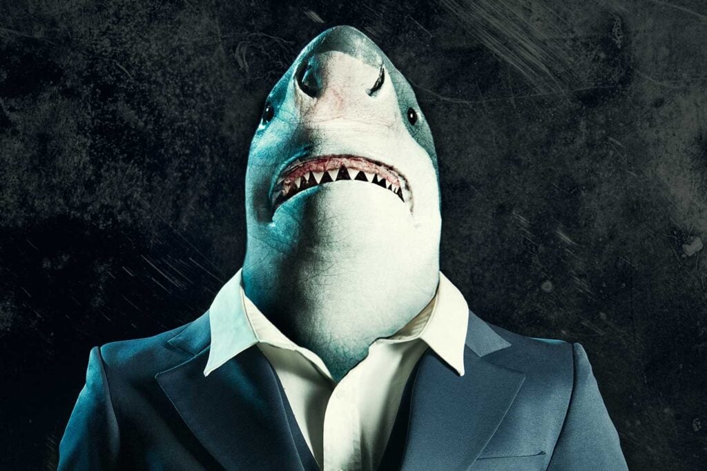 Opinion car buying easier than appliance shopping