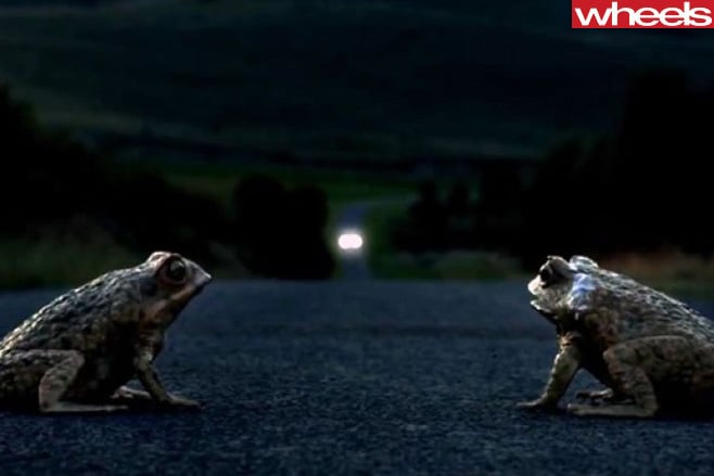 Toads -talking -on -road