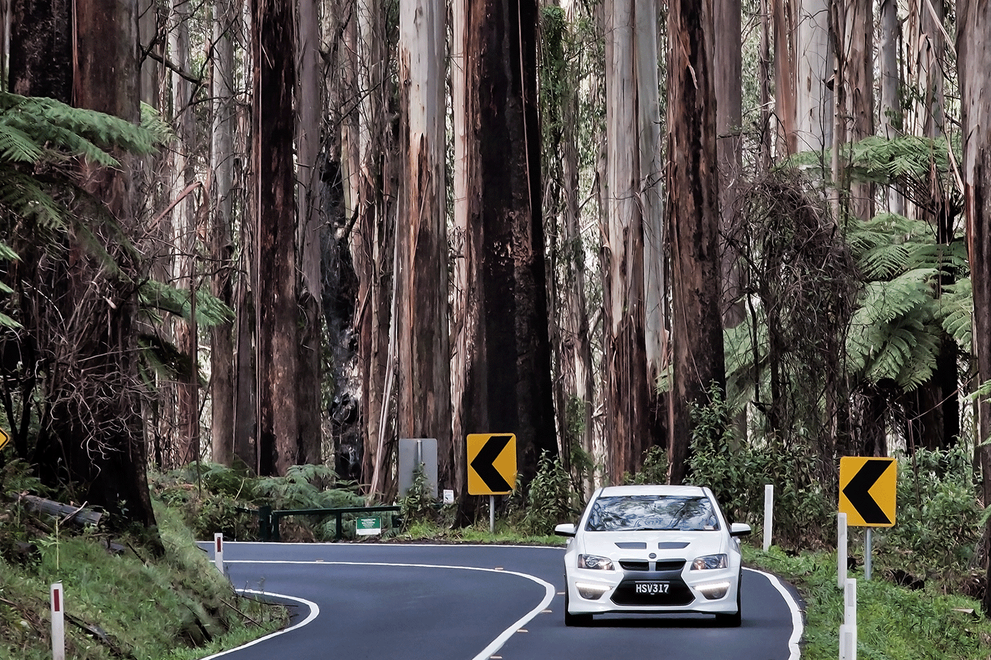 Blat in Black 2011 HSV Black Edition Forest