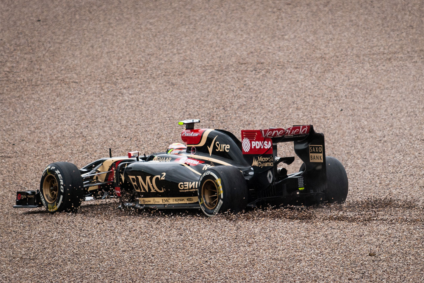 Pastor -Maldanado -rear