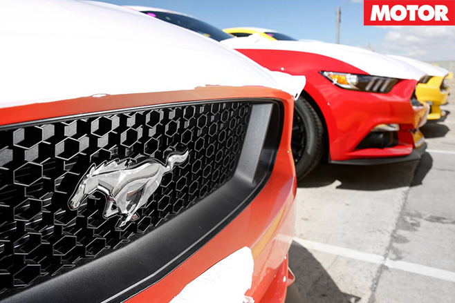 Ford mustangs grills