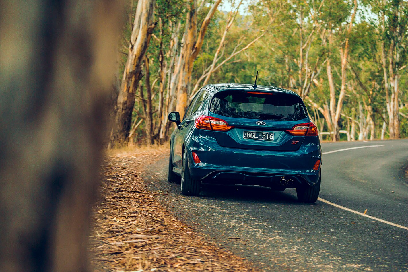 Ford Fiesta driving rear