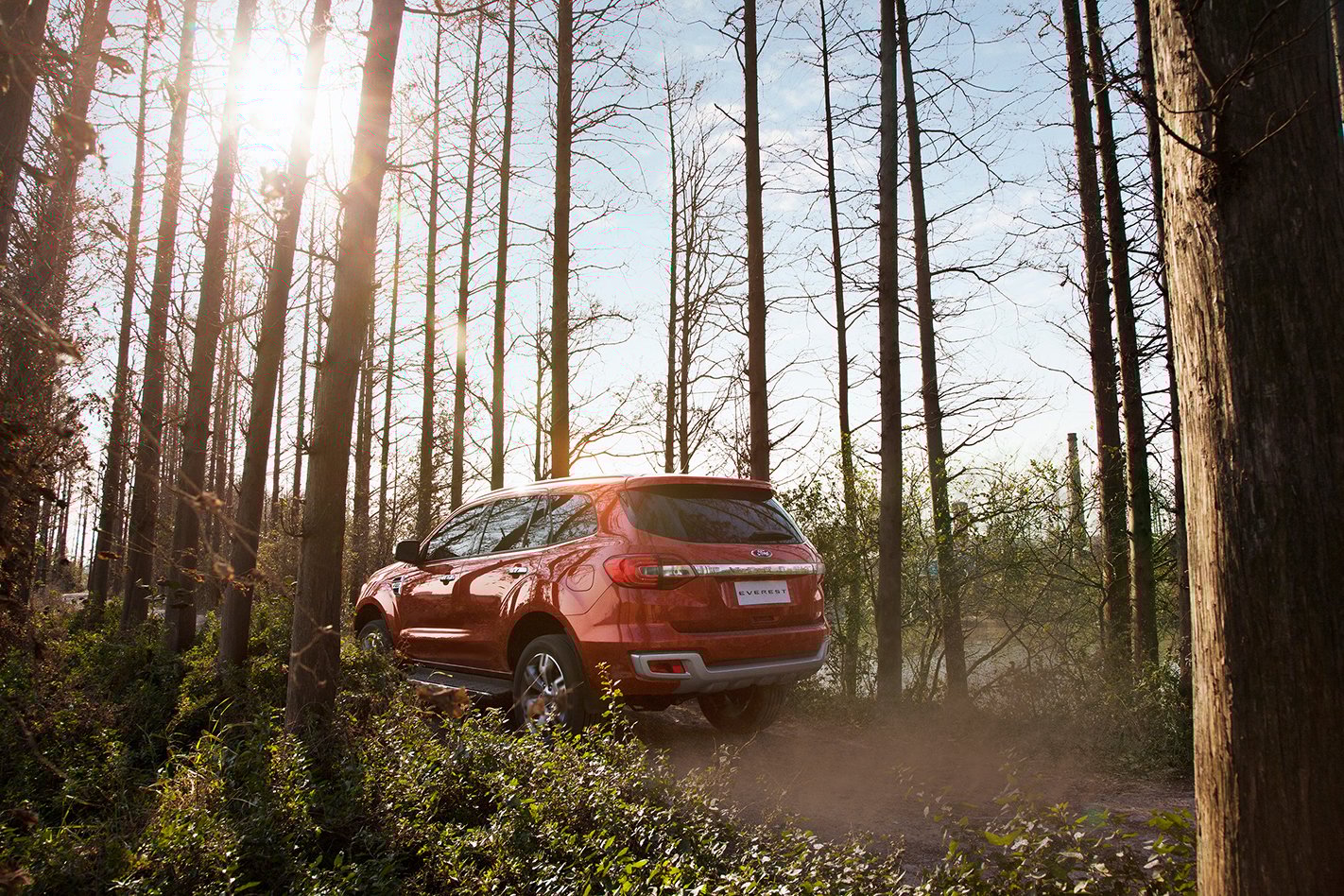 2015 Ford Everest review
