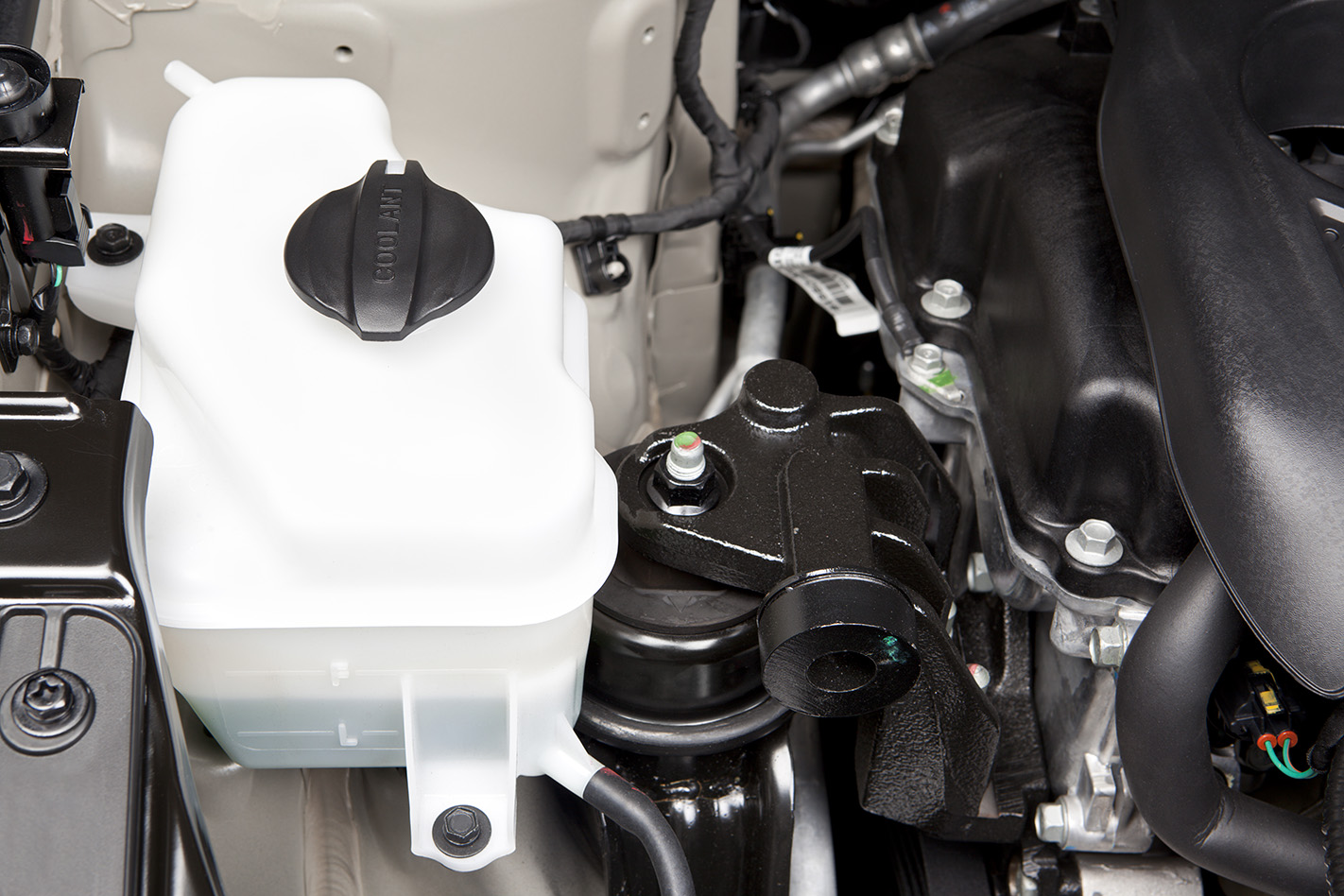 engine oil, brake fluid and coolant