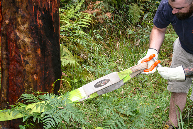 Man connecting recovery strap to tree