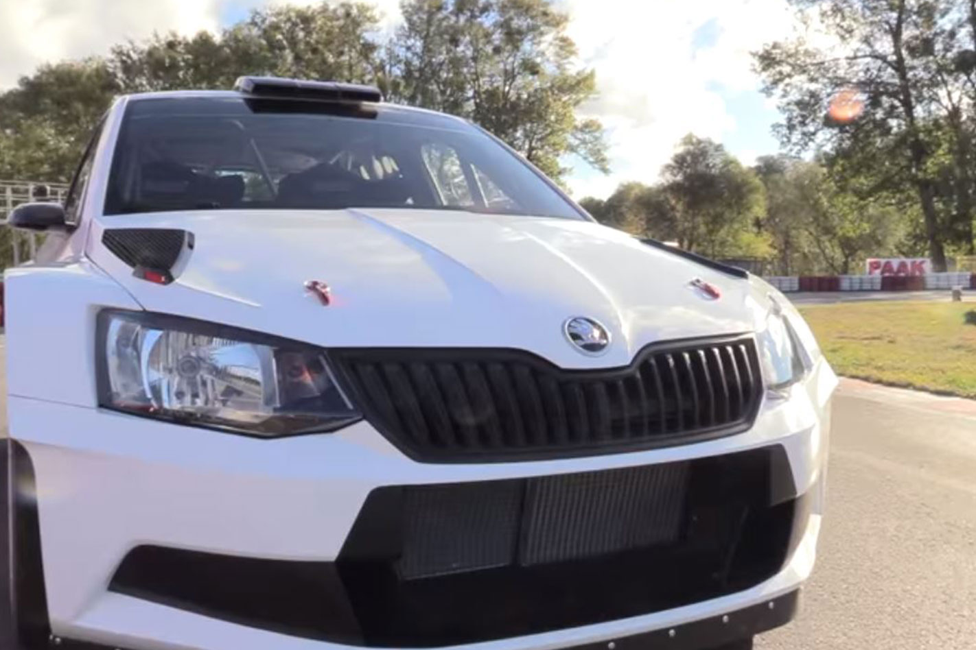 Skoda-Fabia-R5.jpg