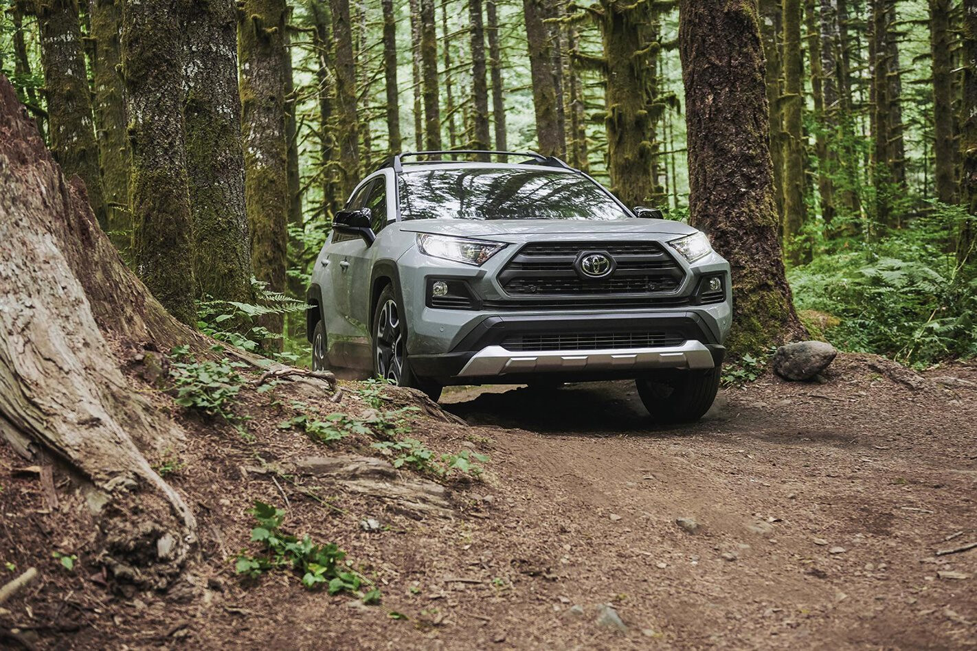 Toyota RAV4 2019 offroad