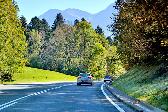 Cars driving through road between trees