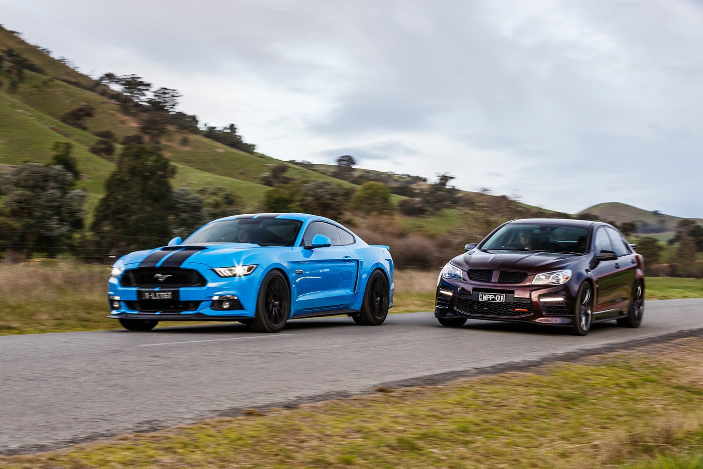 2017 Herrod Mustang GT vs 2017 Walkinshaw W557 front facing.jpg