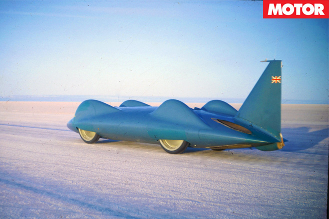Bluebird -in -the -desert