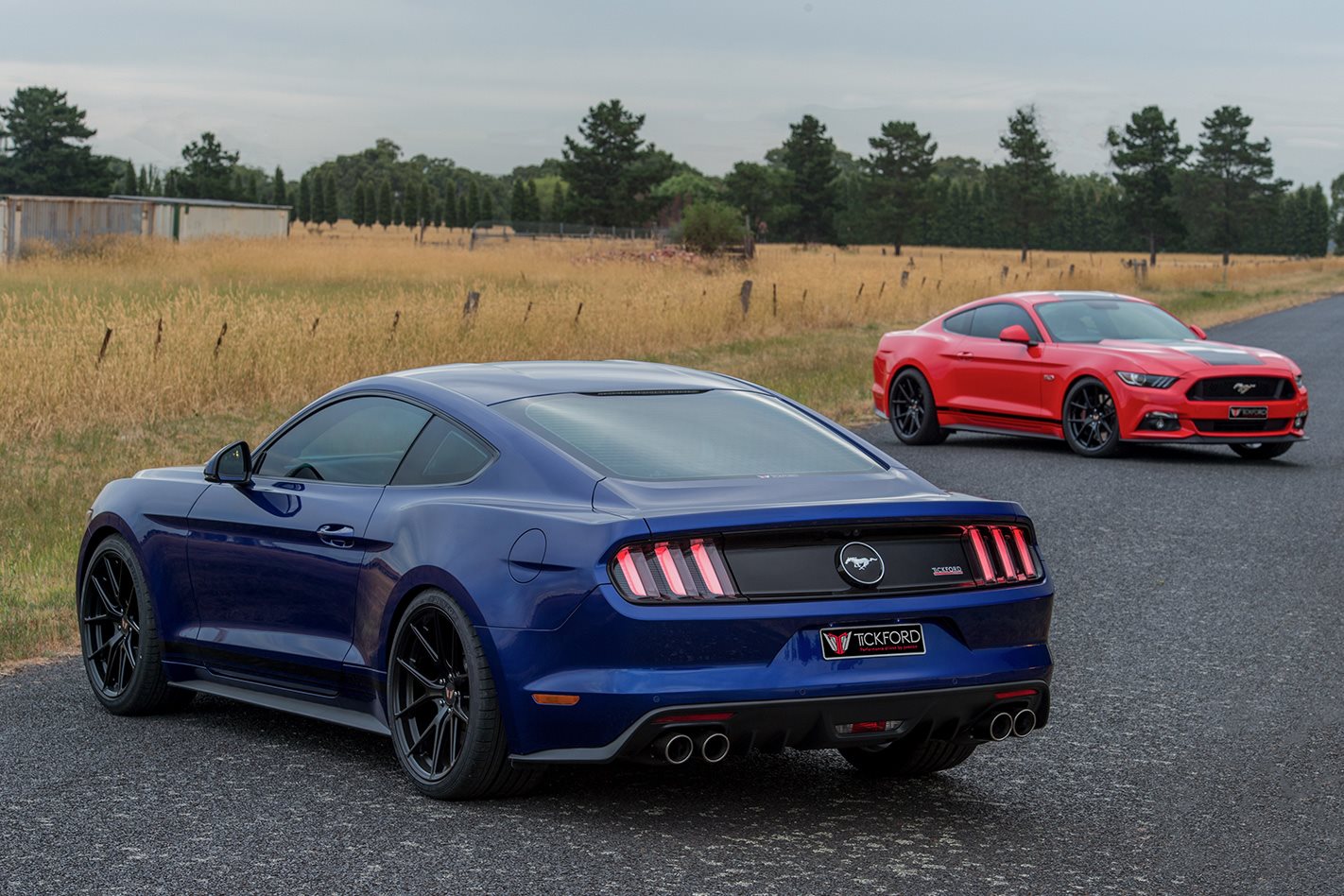 Tickford Mustang powers up for launch