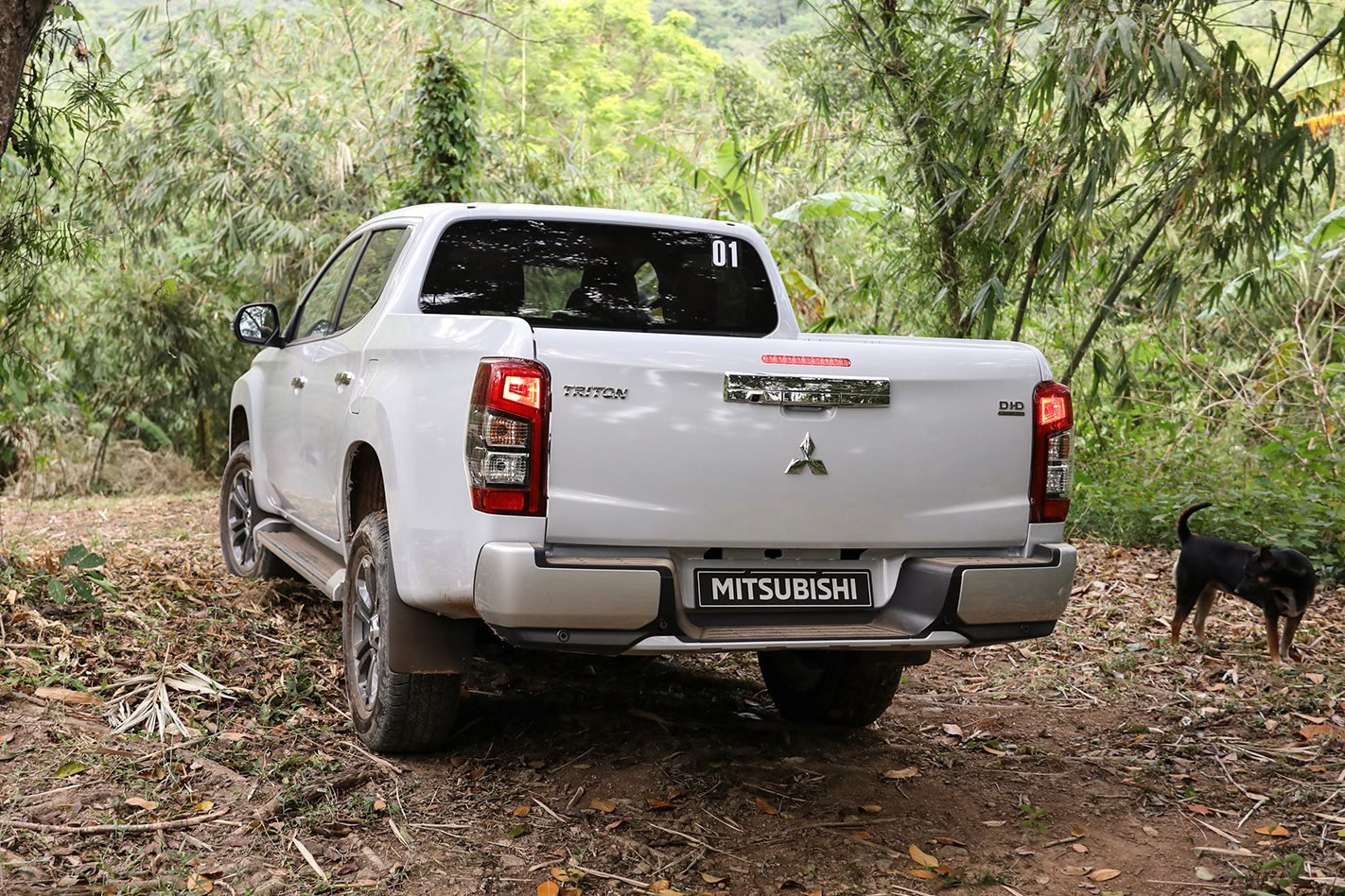 Mitsubishi Triton 2019 rear