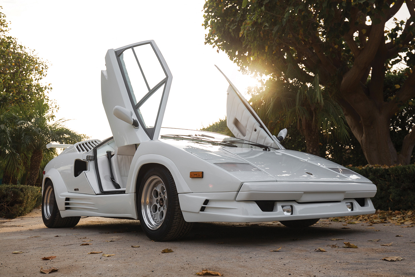1989-Lamborghini-Countach.jpg