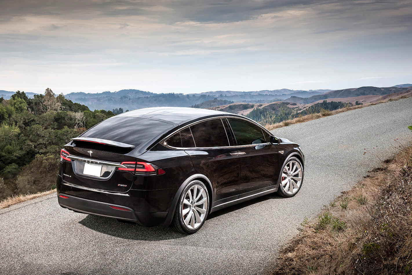 Tesla Model X rear side