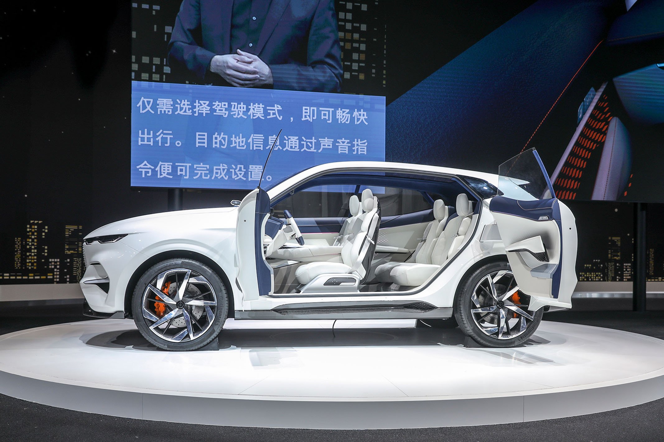 Haval Vision 2025