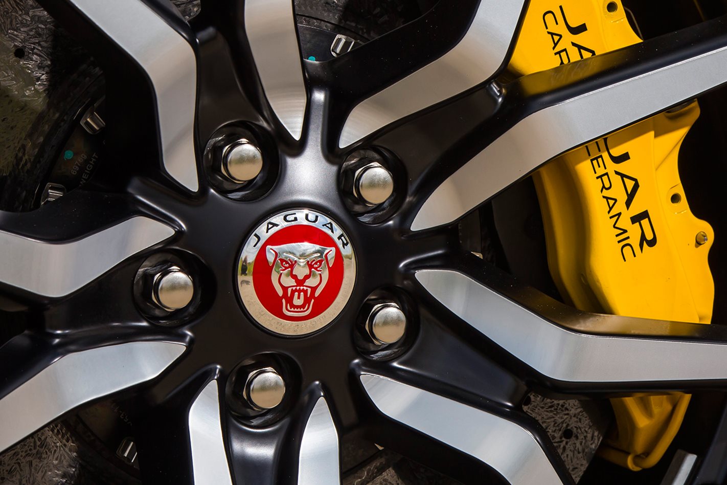 Jaguar Fast Facts