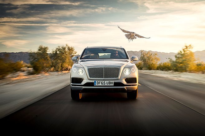 Bentley Bentayga falconry with falcon