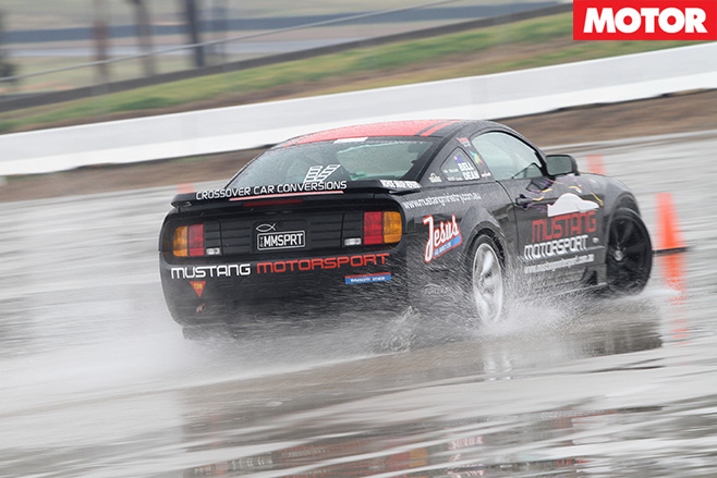 Mustang -in -the -wet