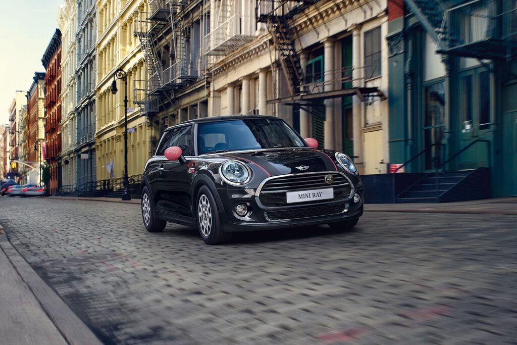 2016 Mini Ray Review