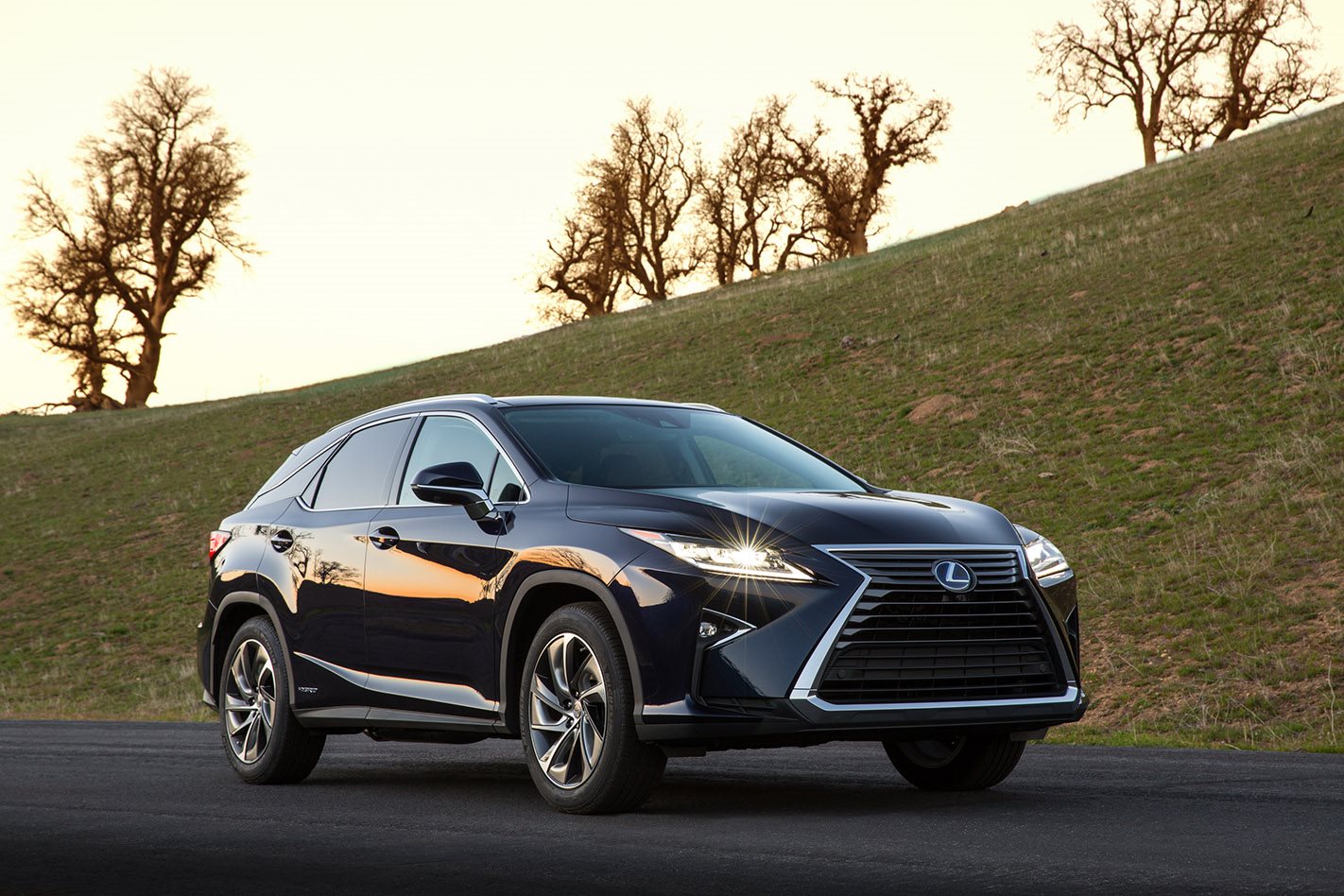 3 hybrid SUVs that break the gas guzzler stereotype
