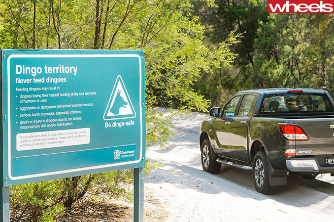 Mazda -BT-50-driving -into -forest -Fraser -Island