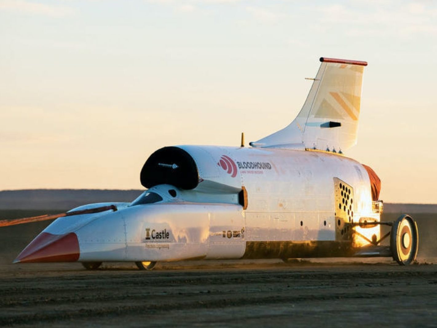 Bloodhound LSR