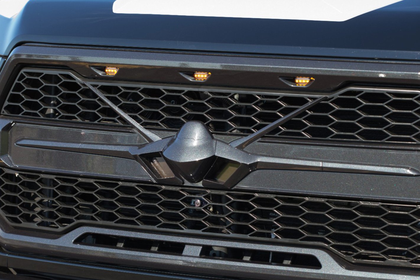 Custom Ford F150 Raptor badge